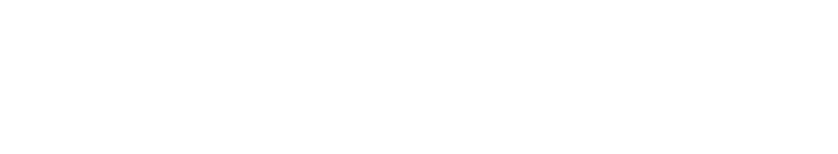 Dopamina.swiss Text logo white